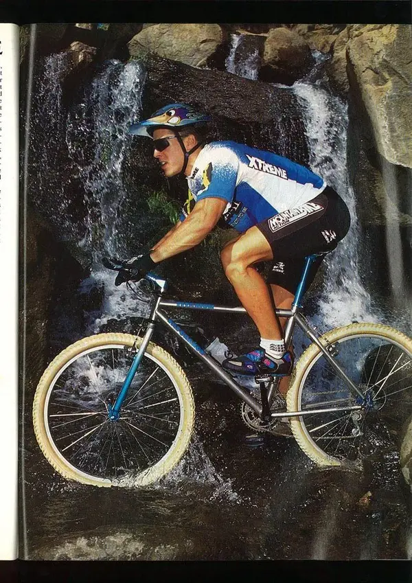 toad21fd6.webp