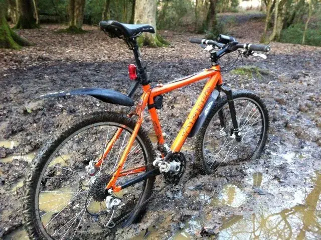 evo in the mud.webp