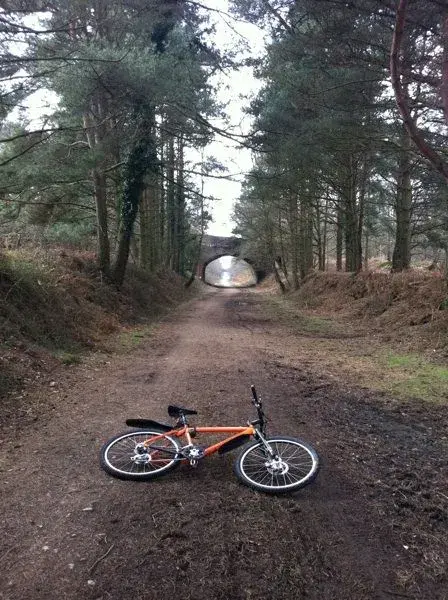 evo on the burley route.webp
