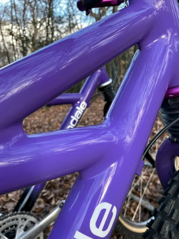 Cannondale DeltaV900