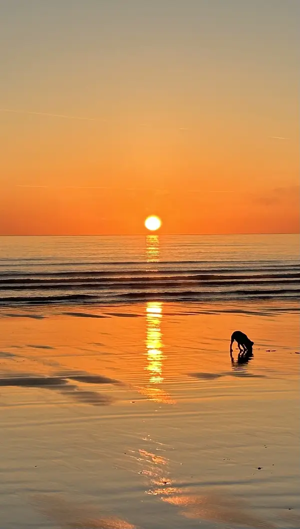 IMG_4217.webp