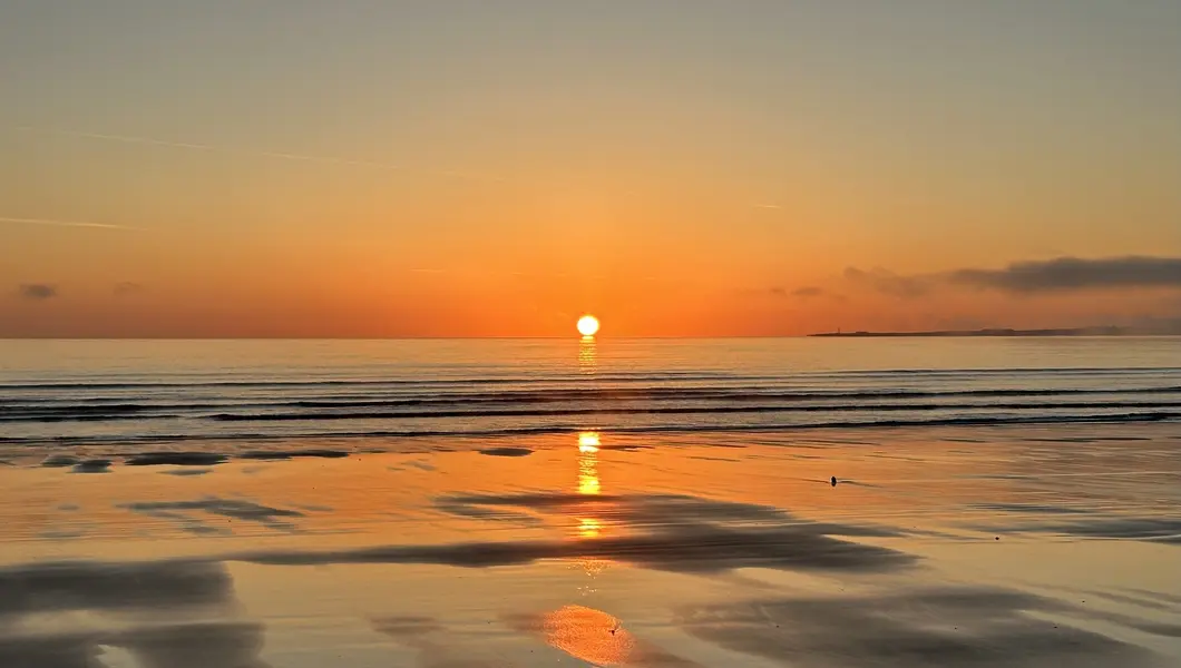 IMG_4216.webp