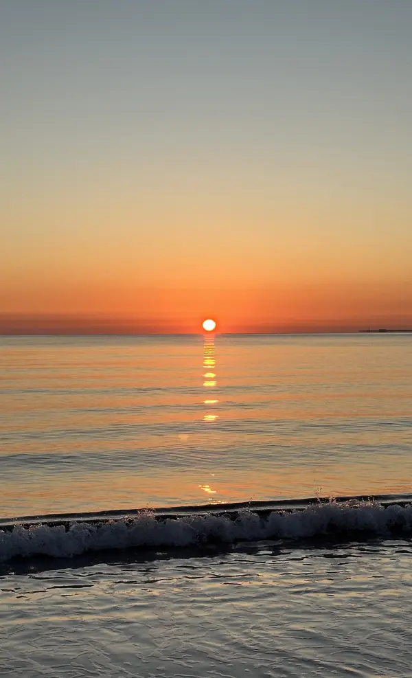 IMG_4240.webp