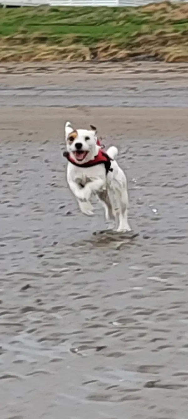 Screenshot_20250323_092036_Gallery.webp