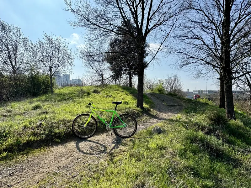 Pine-Mountain-91_Olympic-singletrack.webp