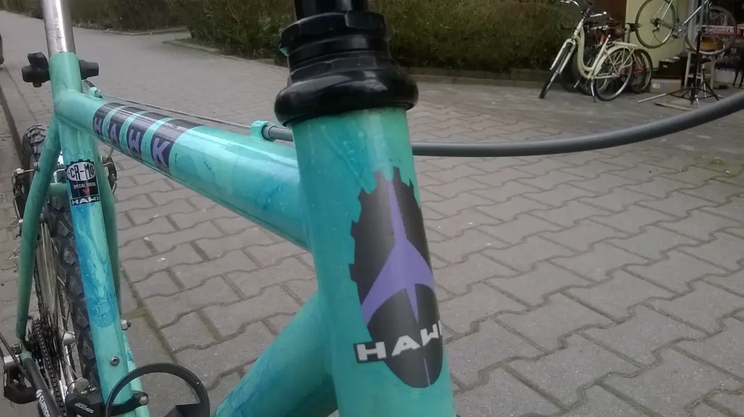 WP_20250329_011.webp