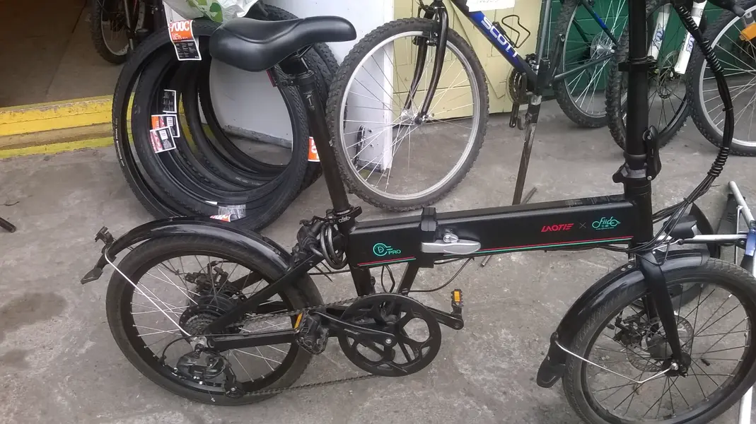 WP_20250329_026.webp