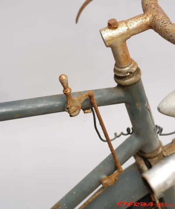 Hirondelle retro-directe3.webp