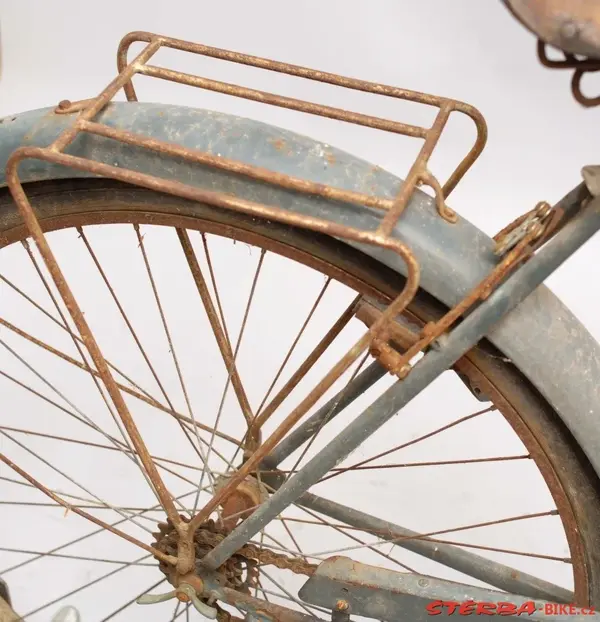Hirondelle retro-directe4.webp