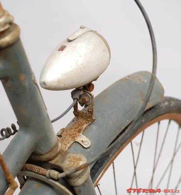 Hirondelle retro-directe5.webp