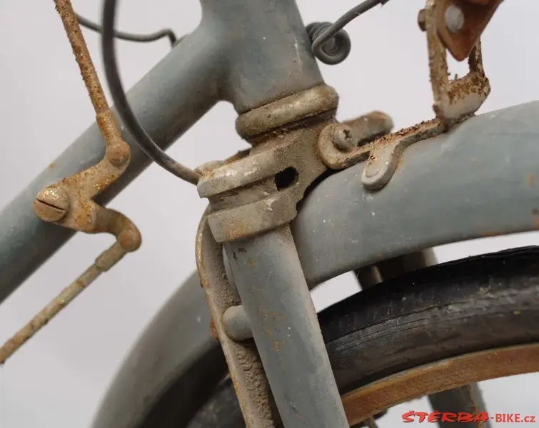 Hirondelle retro-directe8.webp