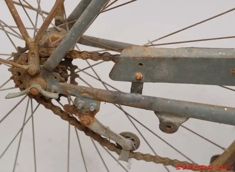 Hirondelle retro-directe13.webp