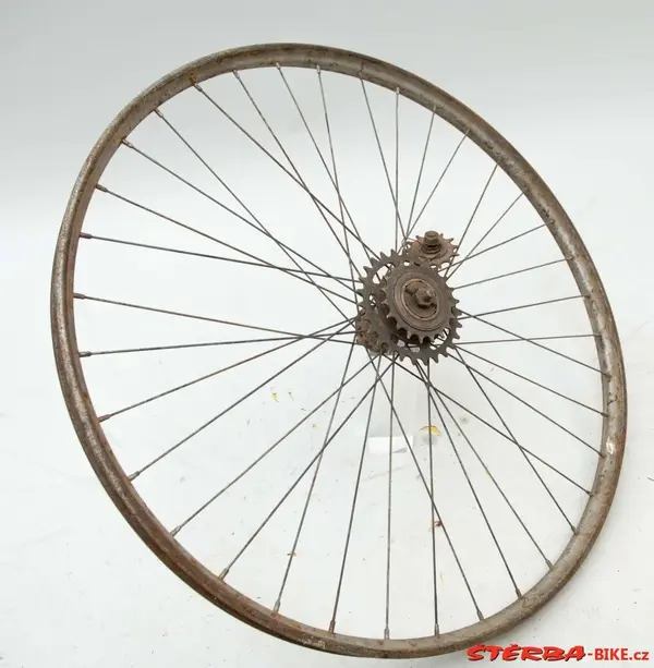 Hirondelle retro-directe18.webp