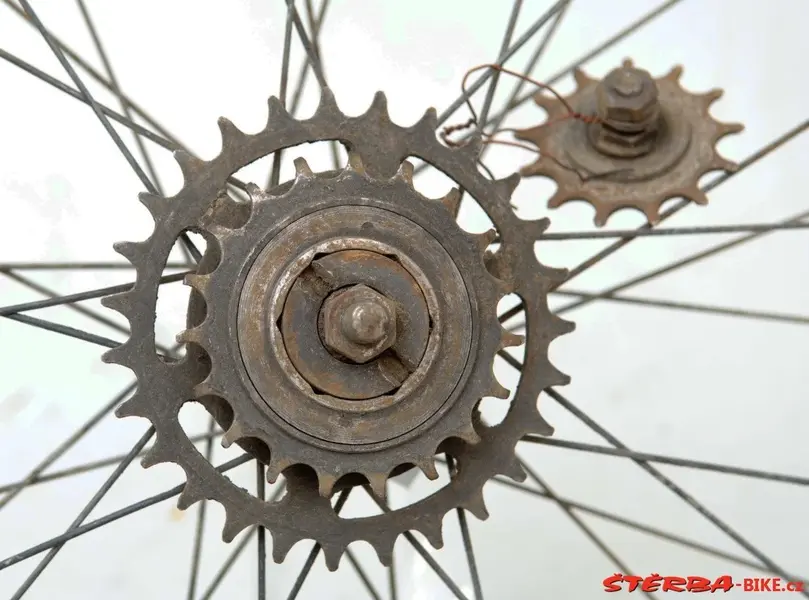 Hirondelle retro-directe19.webp
