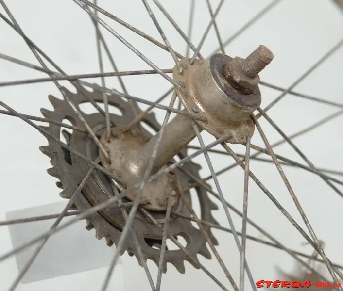 Hirondelle retro-directe20.webp