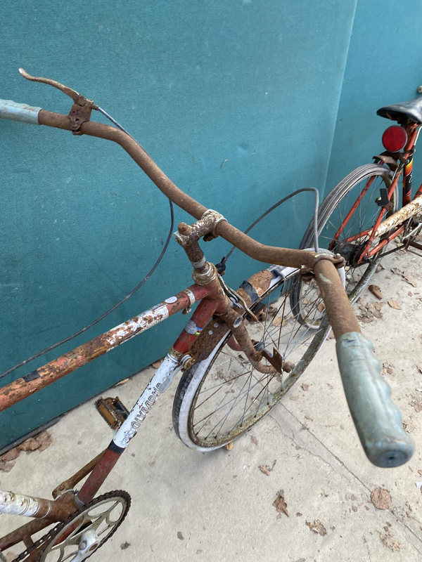 70's Tracker Raleigh Olympus 7.webp