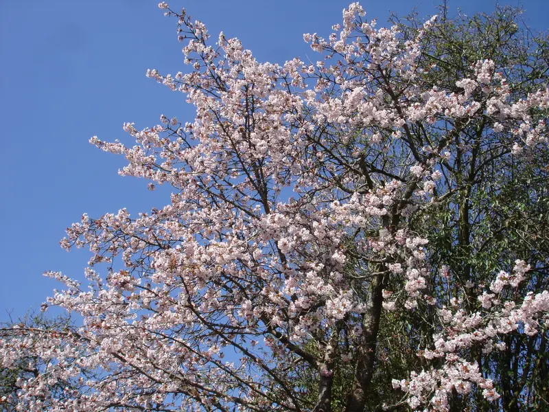 DSC01496.webp