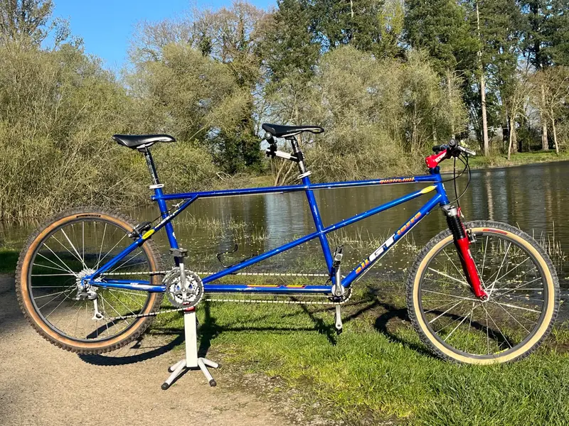 Nicolas Vouilloz' GT Tandem Quatrefoil | Retrobike