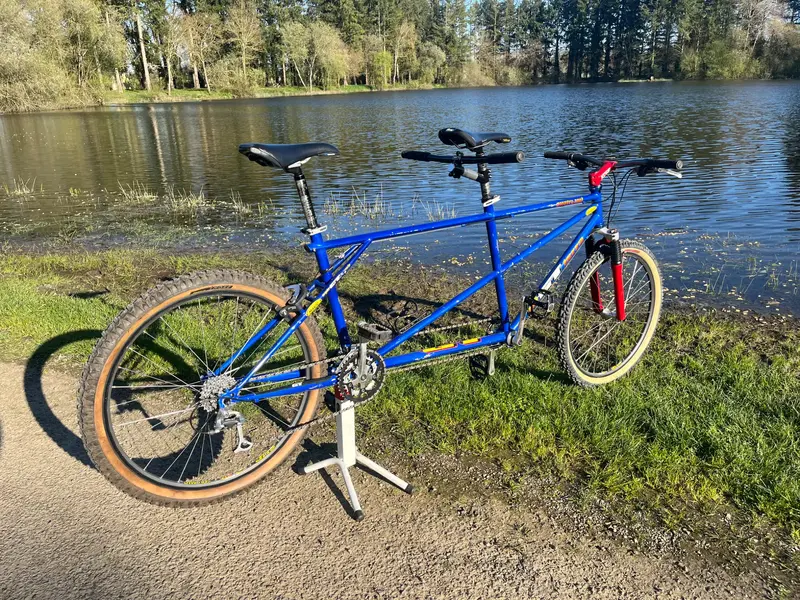 Nicolas Vouilloz' GT Tandem Quatrefoil | Retrobike
