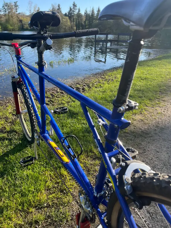 Nicolas Vouilloz' GT Tandem Quatrefoil | Retrobike