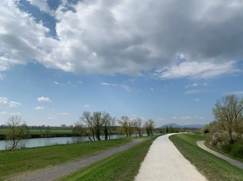 1743682047282.webp