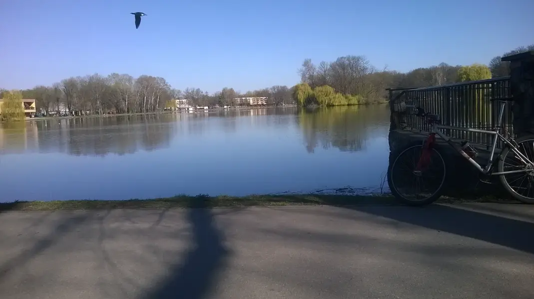 WP_20250403_002.webp