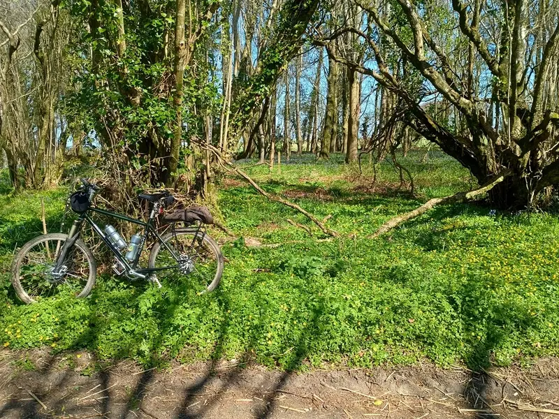 IMG_20250405_115243853_HDR - Copy.webp
