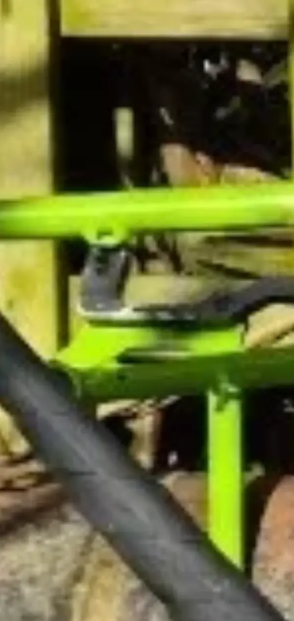 Screenshot_20250406_205242_Gallery.webp