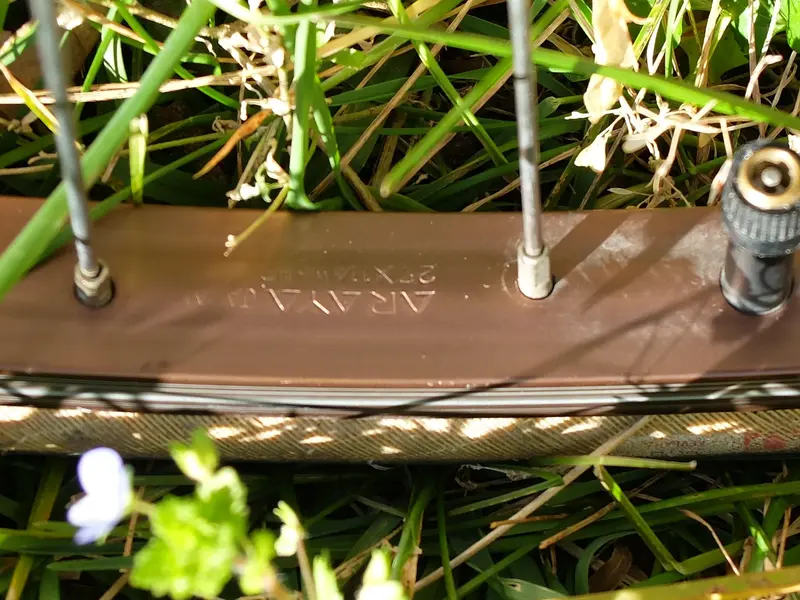 DSCF0562.webp
