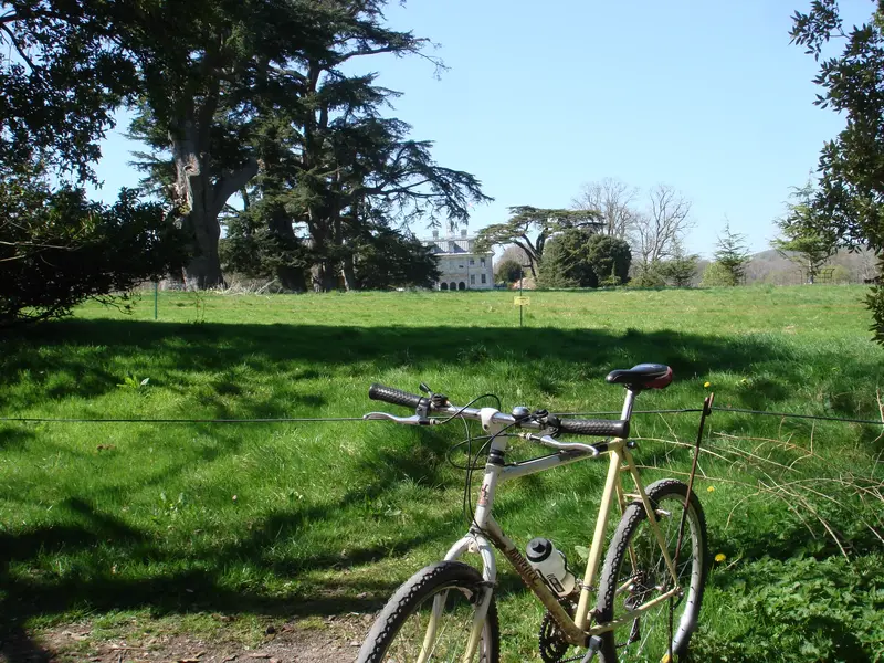 DSC01524.webp