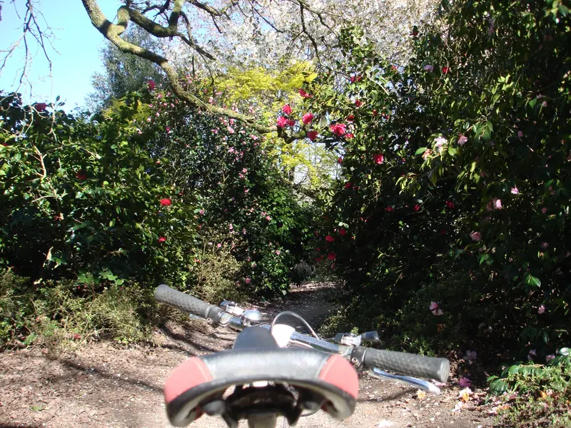 DSC01528.webp