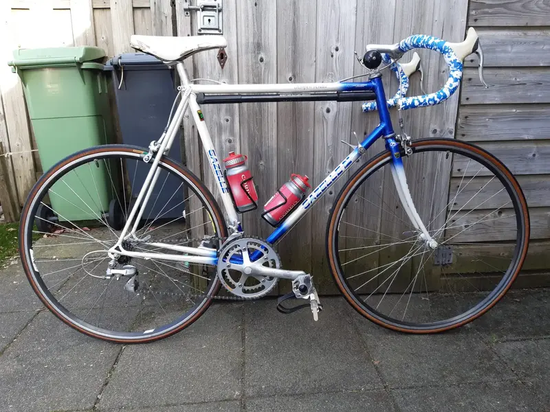 dutchieGazelleChampionMondial.webp