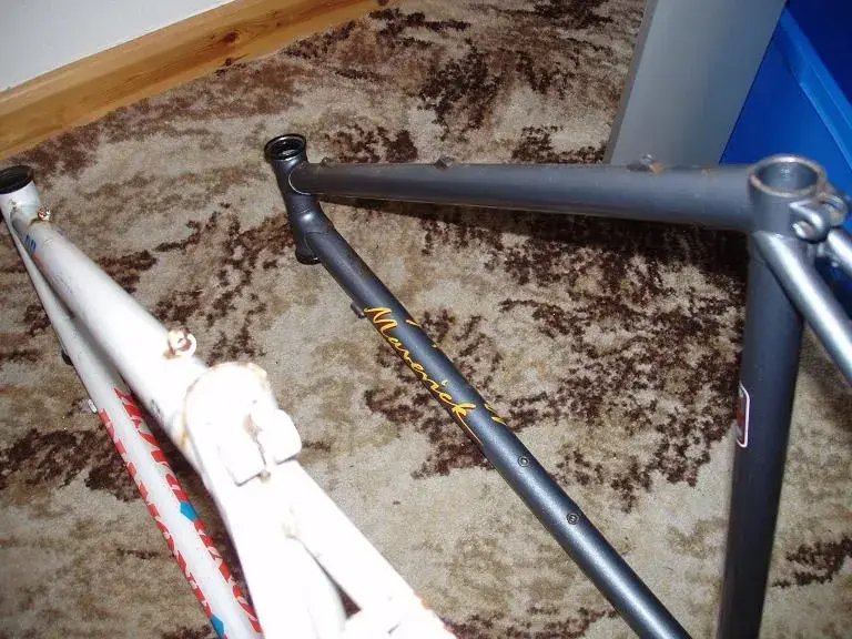 P1010454.webp