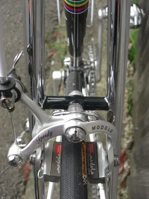 rear.webp