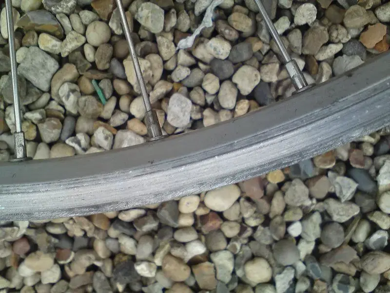 DSC00562.webp