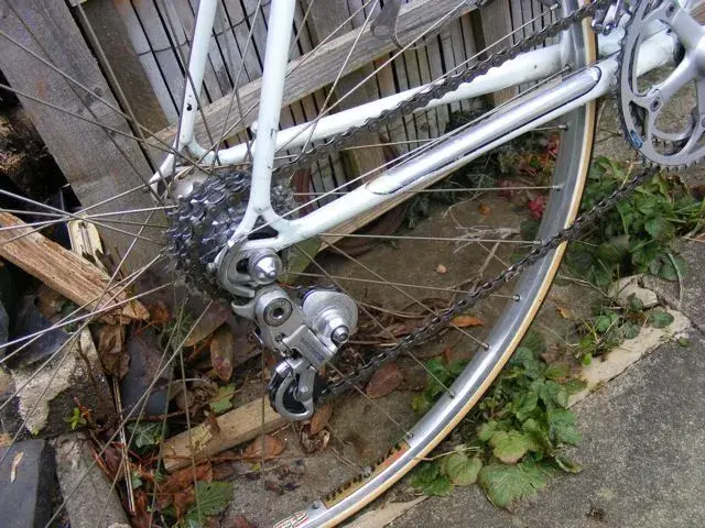 DSCF0390.webp