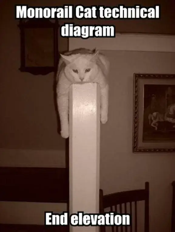 monorail-cat-technical-diagram-end-elevation (Large).webp