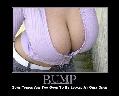 Bump3.webp