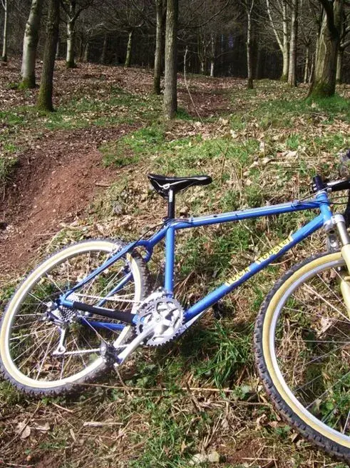 SingleTrack.webp
