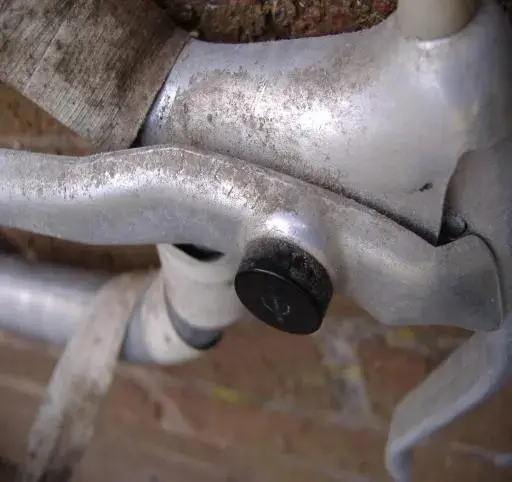 Junkyard dog 016.webp