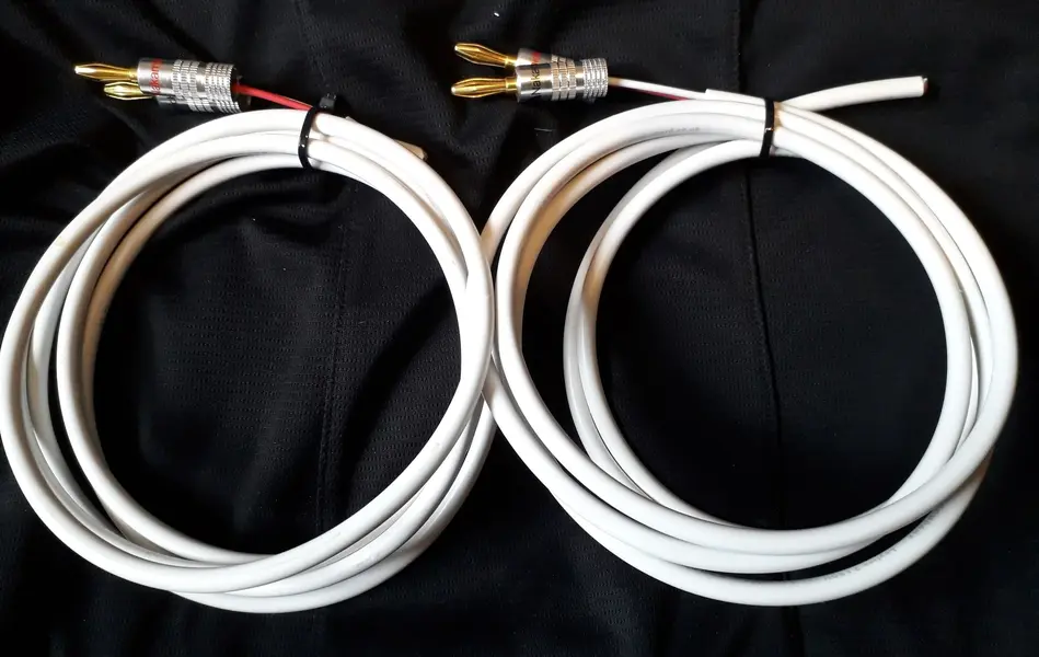 Chord Leyline 1.webp