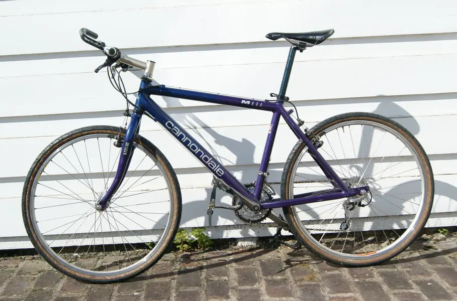 DSC08904.webp