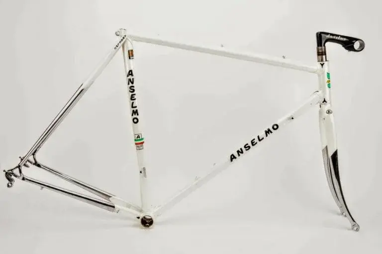 ANSELMO LOSA FRAME~2 (1).webp