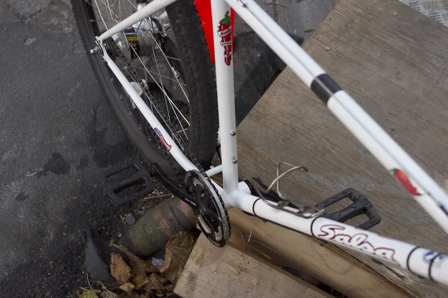 IMGP5910.webp