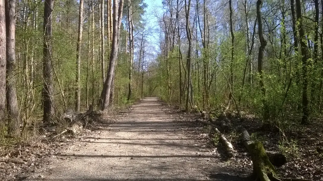 WP_20250413_022.webp