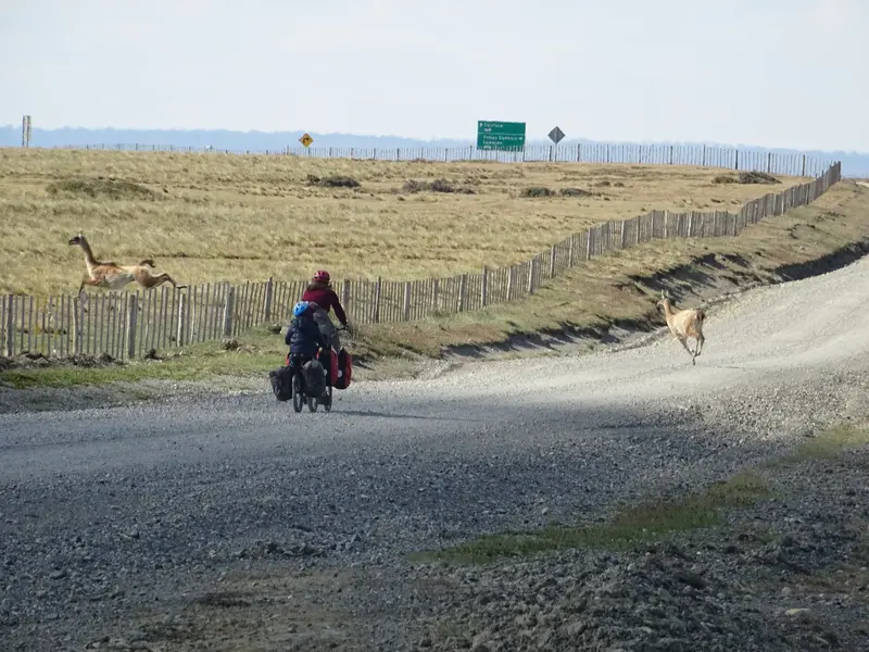 DSC01306.webp