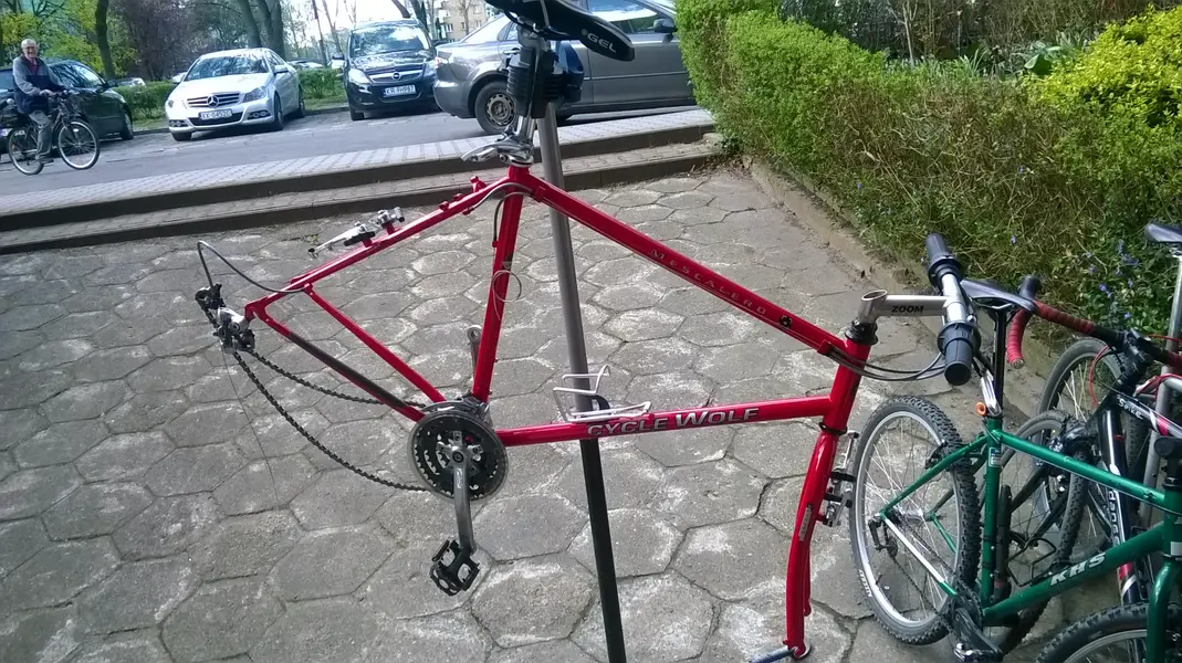 WP_20241119_001.webp
