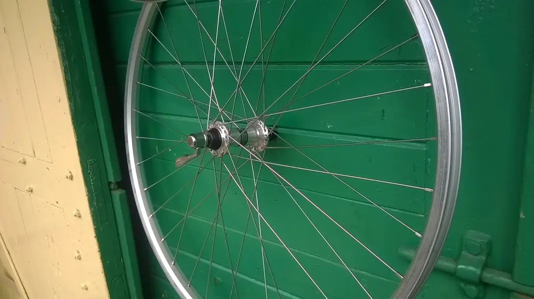 WP_20241119_009.webp