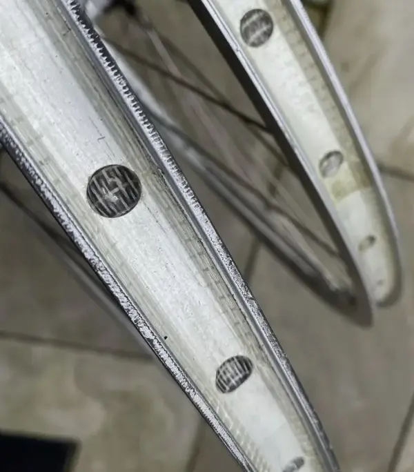 campy1.webp
