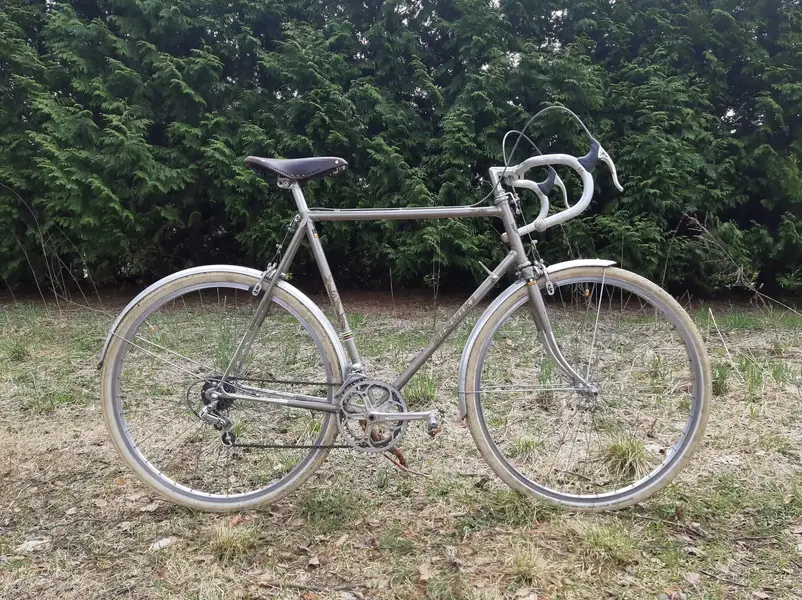 Nishiki_ (1).webp